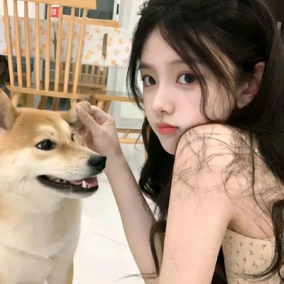 爱芯第一季 海报